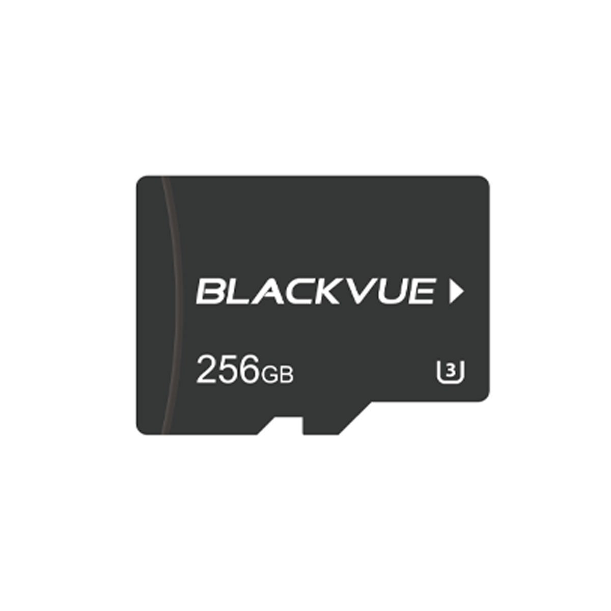 Scheda microSD da 256GB