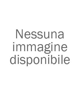 Blackvue DR970X PLUS II LTE-2CH-4K UHD Cloud DashCam-blackvue.it